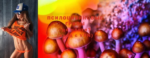 дживик Нягань